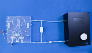 modelo vascular de artéria carótida 1