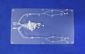 modelo de coração 1