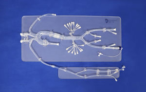 modelo anatômico abdominal 1