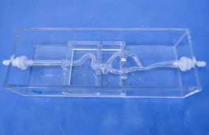 modelo vascular de artéria 1