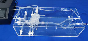 modelo de coração