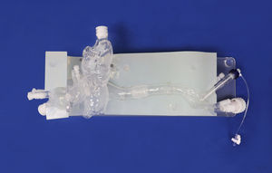 modelo vascular cardíaco 1