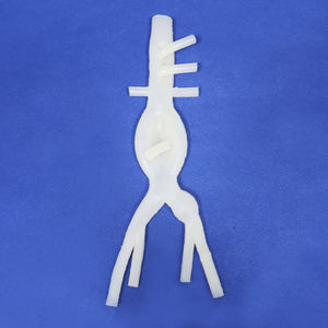 modelo anatômico abdominal
