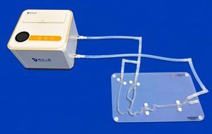 modelo anatômico intracraniano