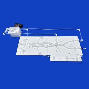 modelo vascular intracraniano 1