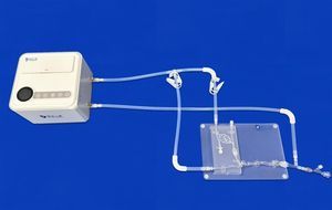 modelo vascular de cérebro
