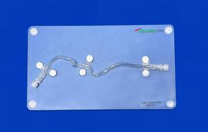 modelo vascular de artéria cerebral