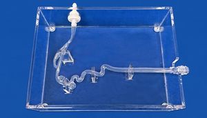 modelo vascular de artéria carótida