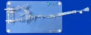 modelo vascular de artéria carótida