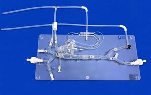 modelo vascular de veia