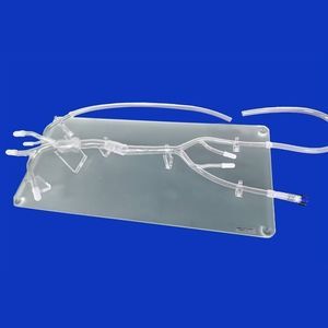 modelo vascular de artéria femoral