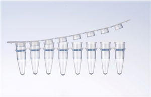 microplaca para PCR