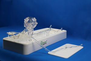 modelo anatômico das artérias coronárias