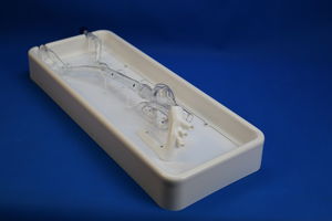 modelo de coração