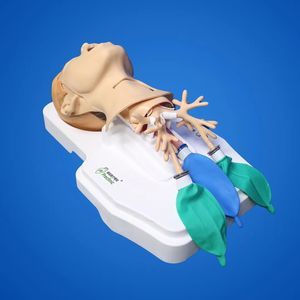 manequim de treinamento para procedimentos cardiopulmonares
