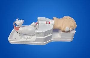 simulador para gastroscopia