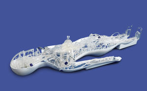 modelo vascular de coração