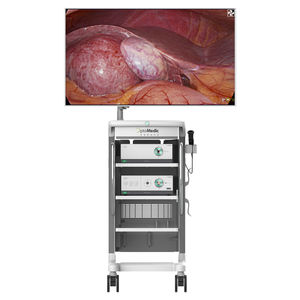 sistema de endoscopia de luz branca