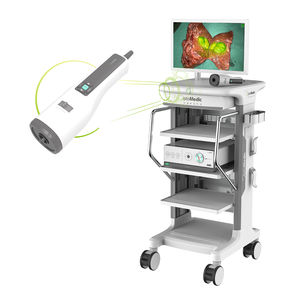 sistema de endoscopia por fluorescência