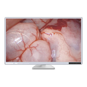 monitor para endoscopia