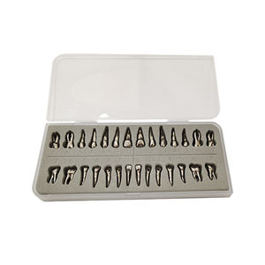 modelo de dente 1
