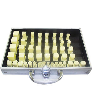 modelo de dente 1