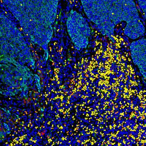 software para biologia molecular