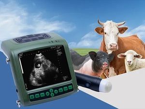 ultrassom veterinário portátil