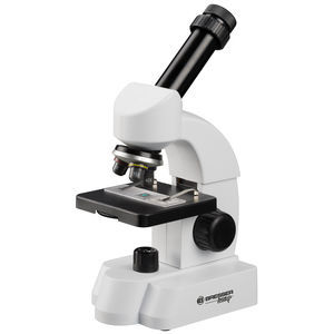 microscópio óptico 1
