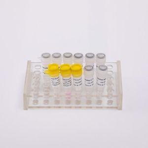 kit de reagentes Taq polimerase