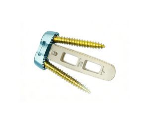 espaçador intervertebral cervical
