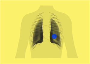 software médico-hospitalar