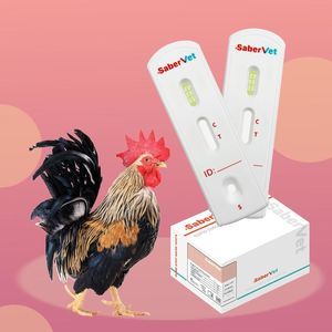 teste rápido para doenças infecciosas