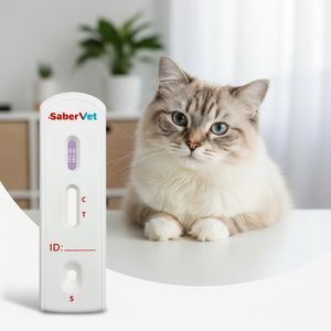 teste rápido para doenças infecciosas
