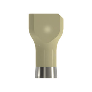 scanbody intraoral