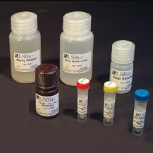 kit de teste para pesquisa