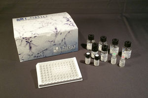 kit de teste para pesquisa 1
