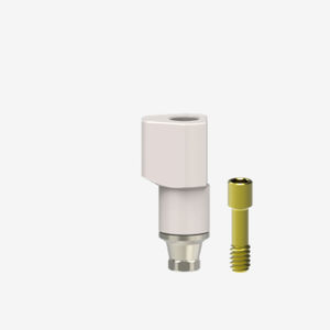 scanbody intraoral 1