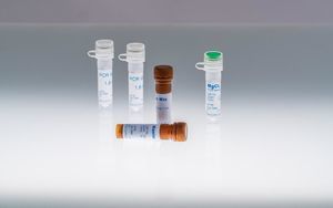reagente DNA polimerase 1