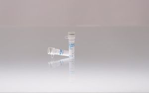 reagente DNA polimerase