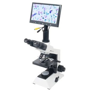 microscópio óptico