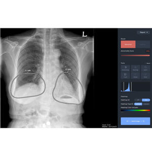 software médico-hospitalar