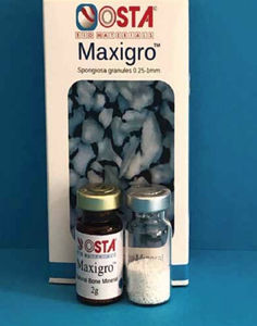 xenoenxerto ósseo 1