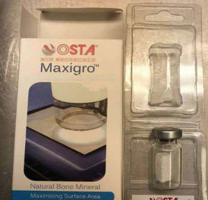 xenoenxerto ósseo 1