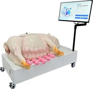 simulador veterinário