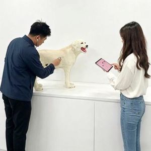 simulador veterinário