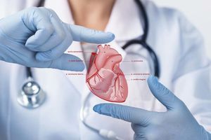 sistema de gestão de informação