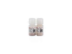 kit de reagentes de esferas magnéticas 1