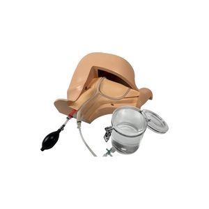simulador de anatomia