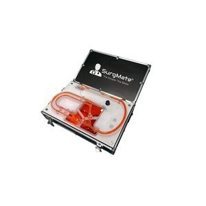 modelo vascular de sistema circulatório